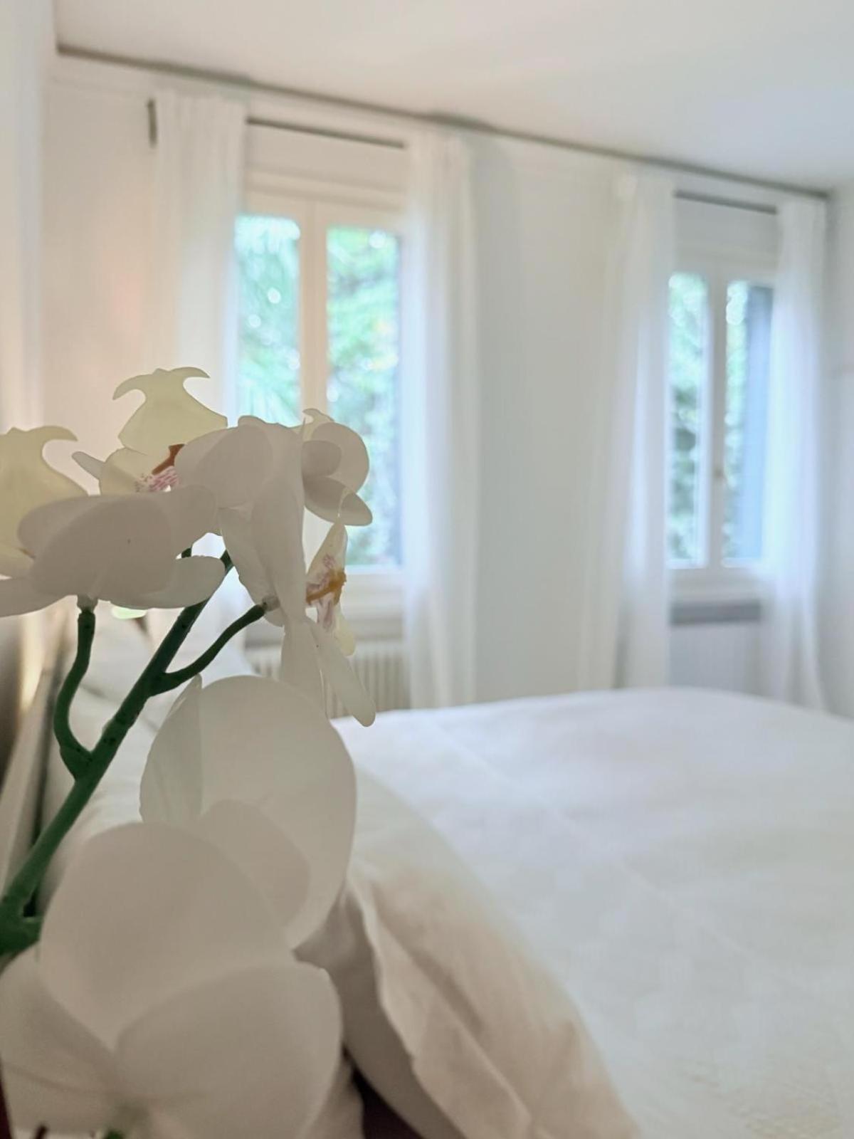 Garden Lodge By Veneto Villa Villa Osti Εξωτερικό φωτογραφία